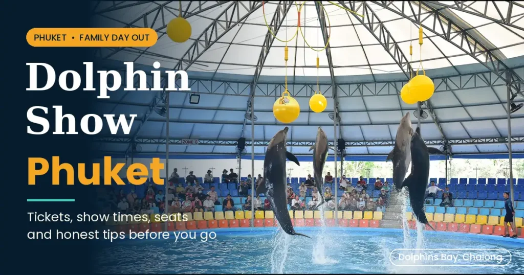 Dolphin show Phuket guide cover with dolphins leaping inside the Dolphins Bay arena in Chalong