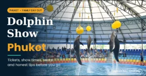 Dolphin show Phuket guide cover with dolphins leaping inside the Dolphins Bay arena in Chalong