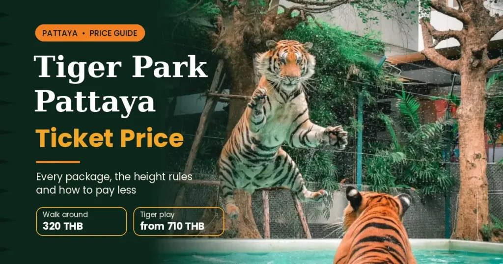 Tiger Park Pattaya ticket price guide cover with a tiger leaping into a pool
