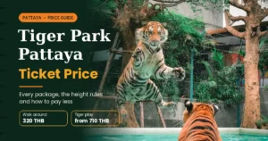 Tiger Park Pattaya ticket price guide cover with a tiger leaping into a pool